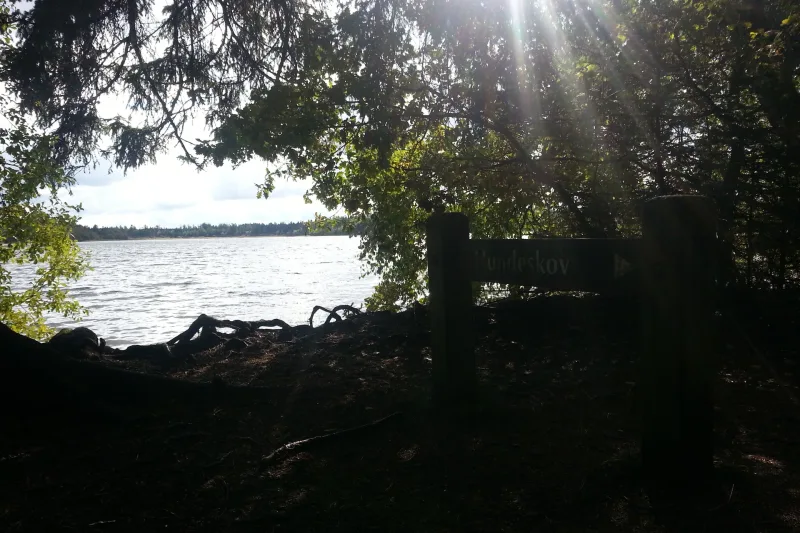 Hampen Sø, Palsgård Skov billede 2
