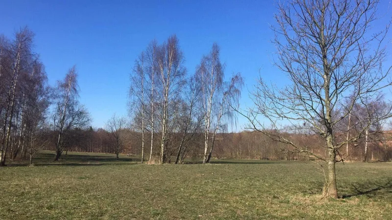 Mollerup Skov (hundeskov) billede 2