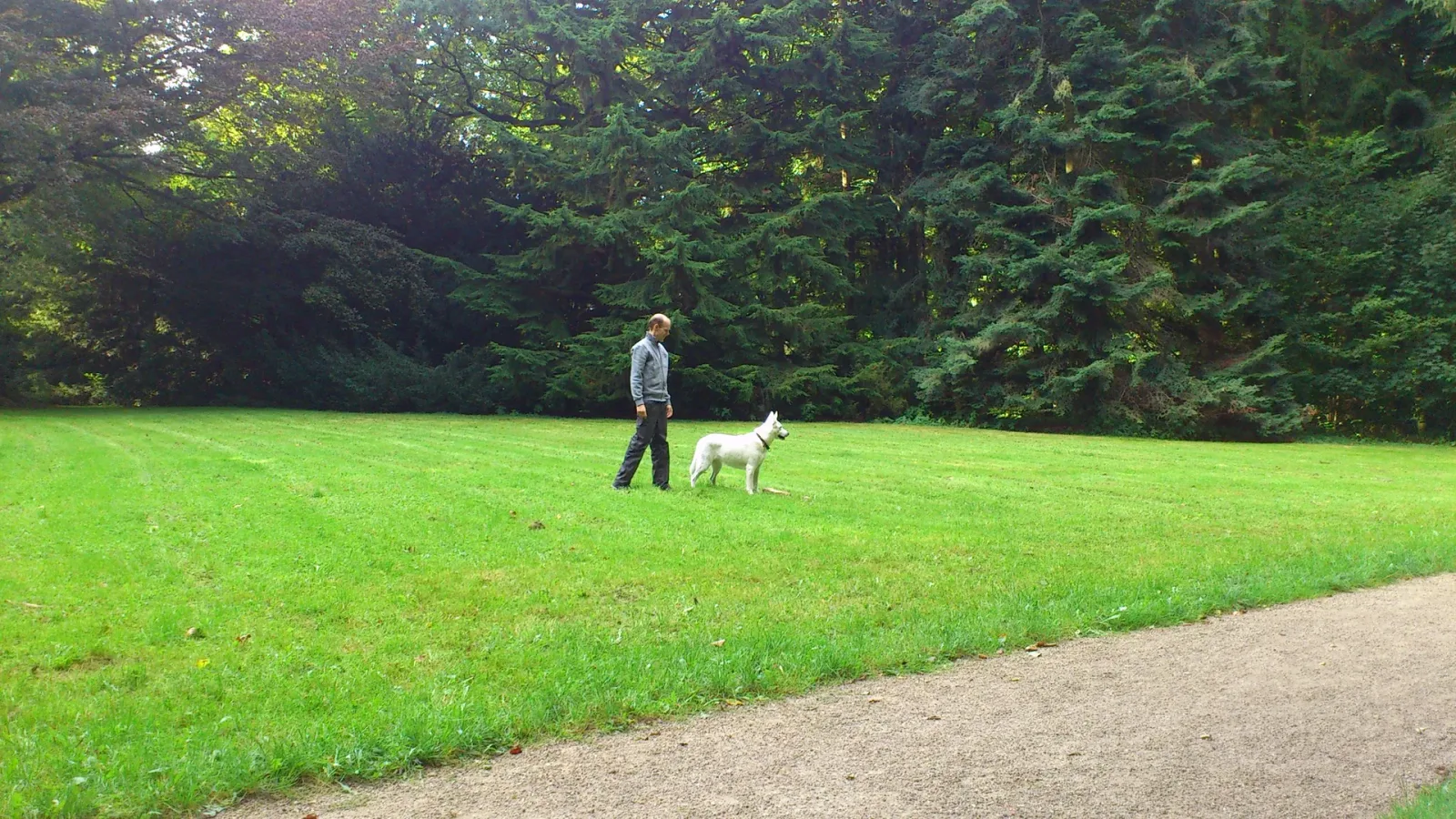 Sorgenfri Slotspark billede 1