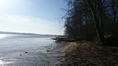 Hundeskov Nederstjernen Hundeskov - Gråsten