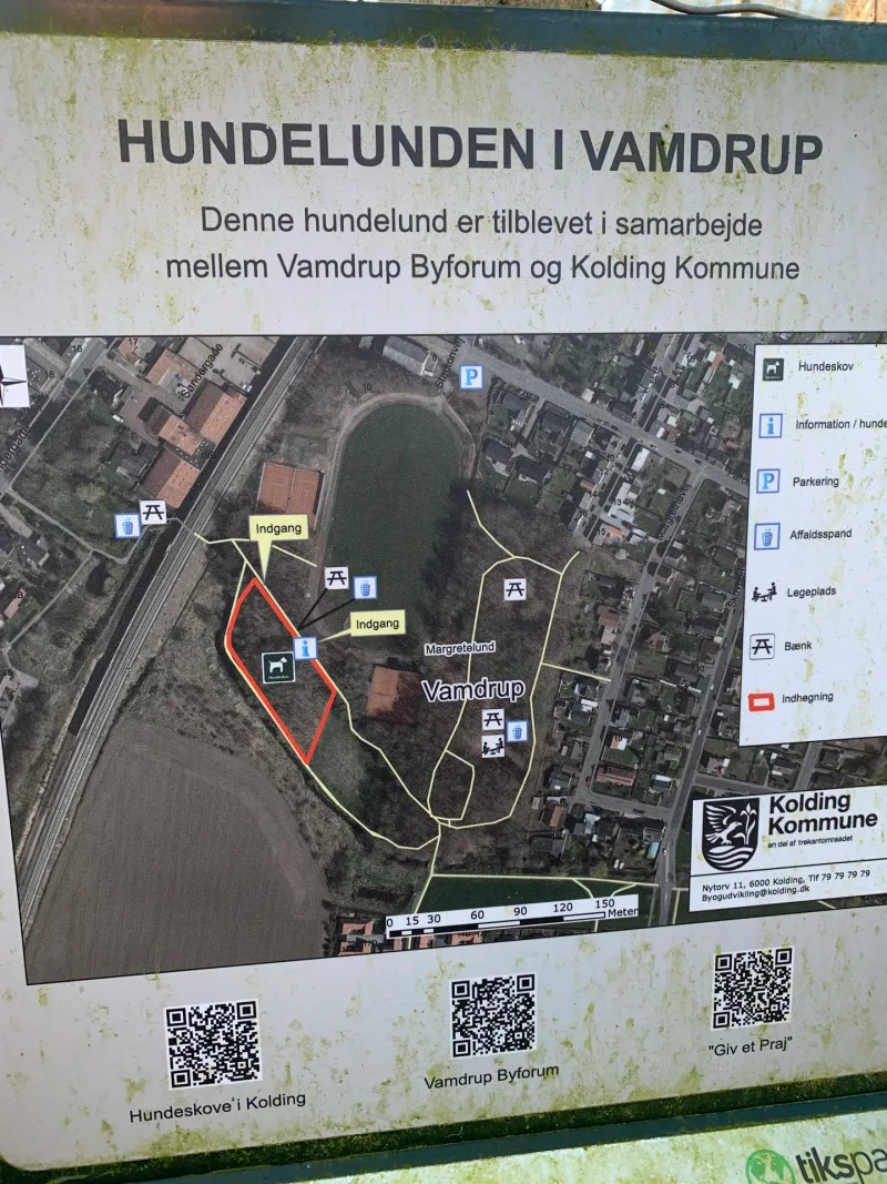 Vamdrup Hundelund (hundeskov) billede 3