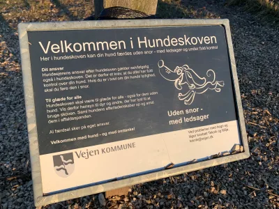 Vejen Hundeskov billede 4