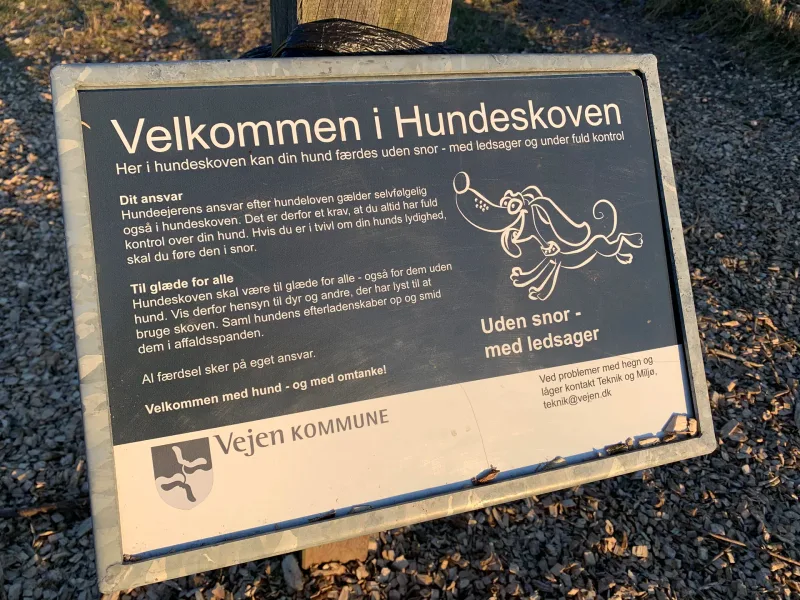 Vejen Hundeskov billede 4