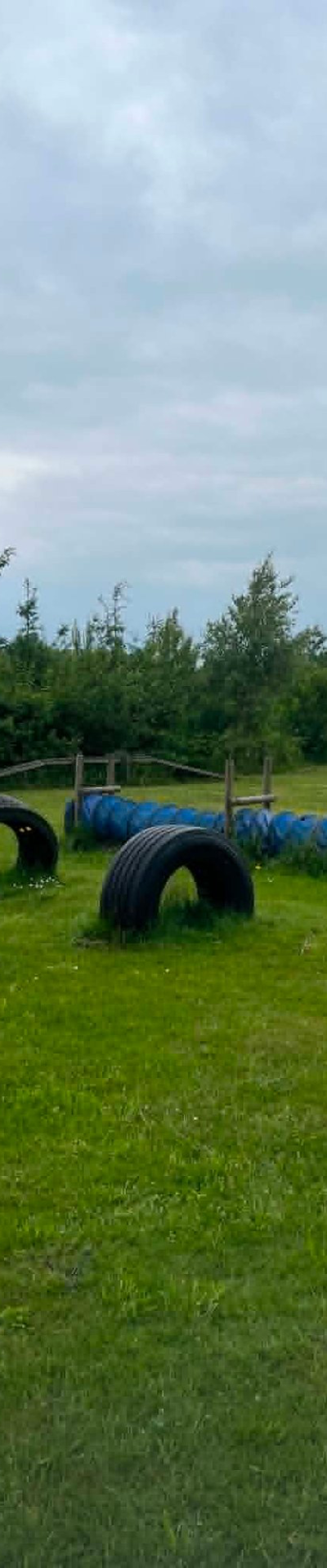 Enghaven billede 4
