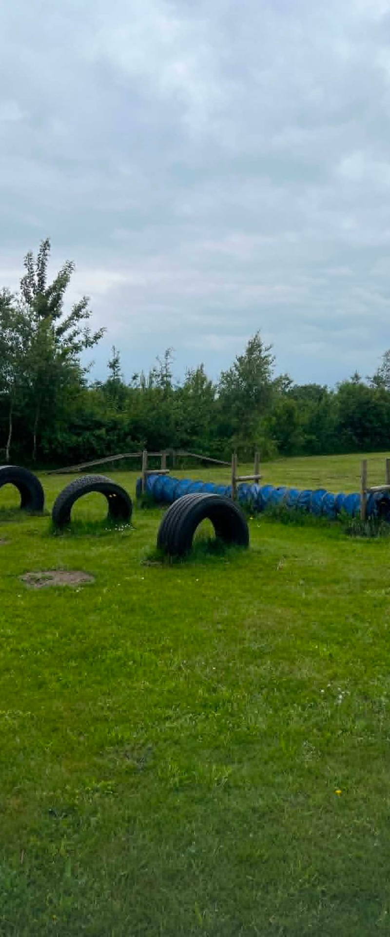 Enghaven billede 4