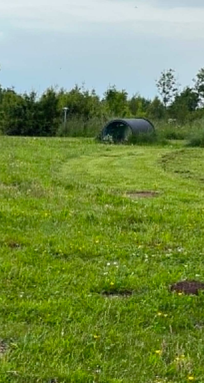 Enghaven billede 2